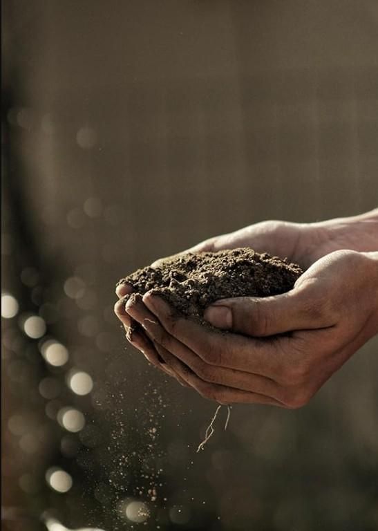 Vermicompost Pot Mix 500gm